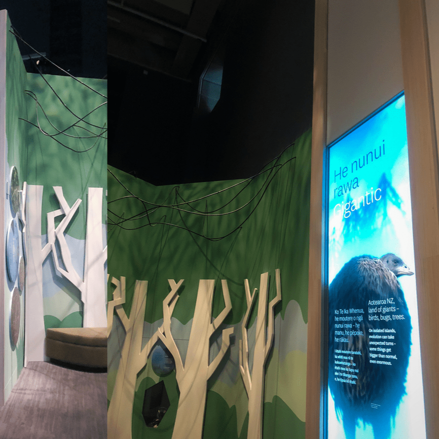 Te Papa Nature Exhibition
