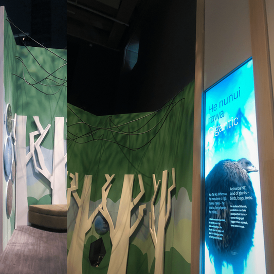 Te Papa Nature Exhibition