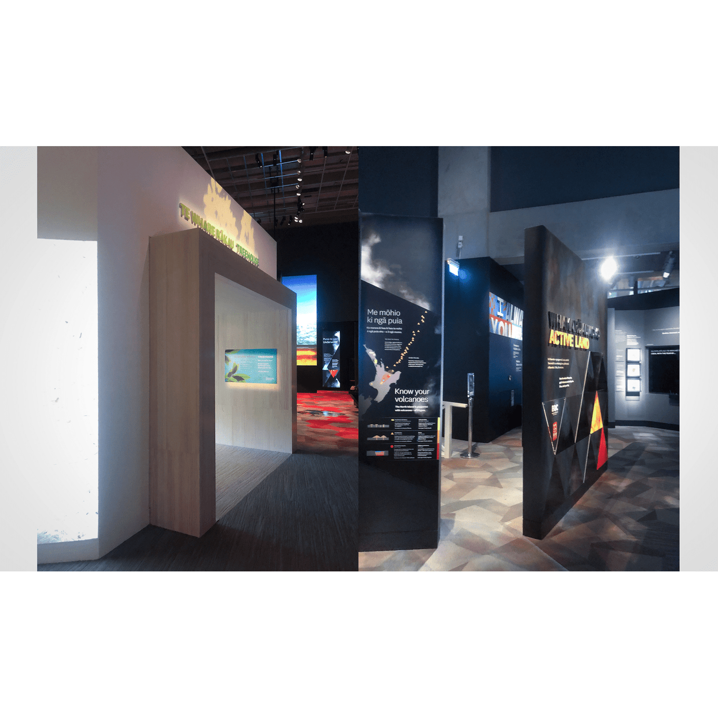 Te Papa Nature Exhibition