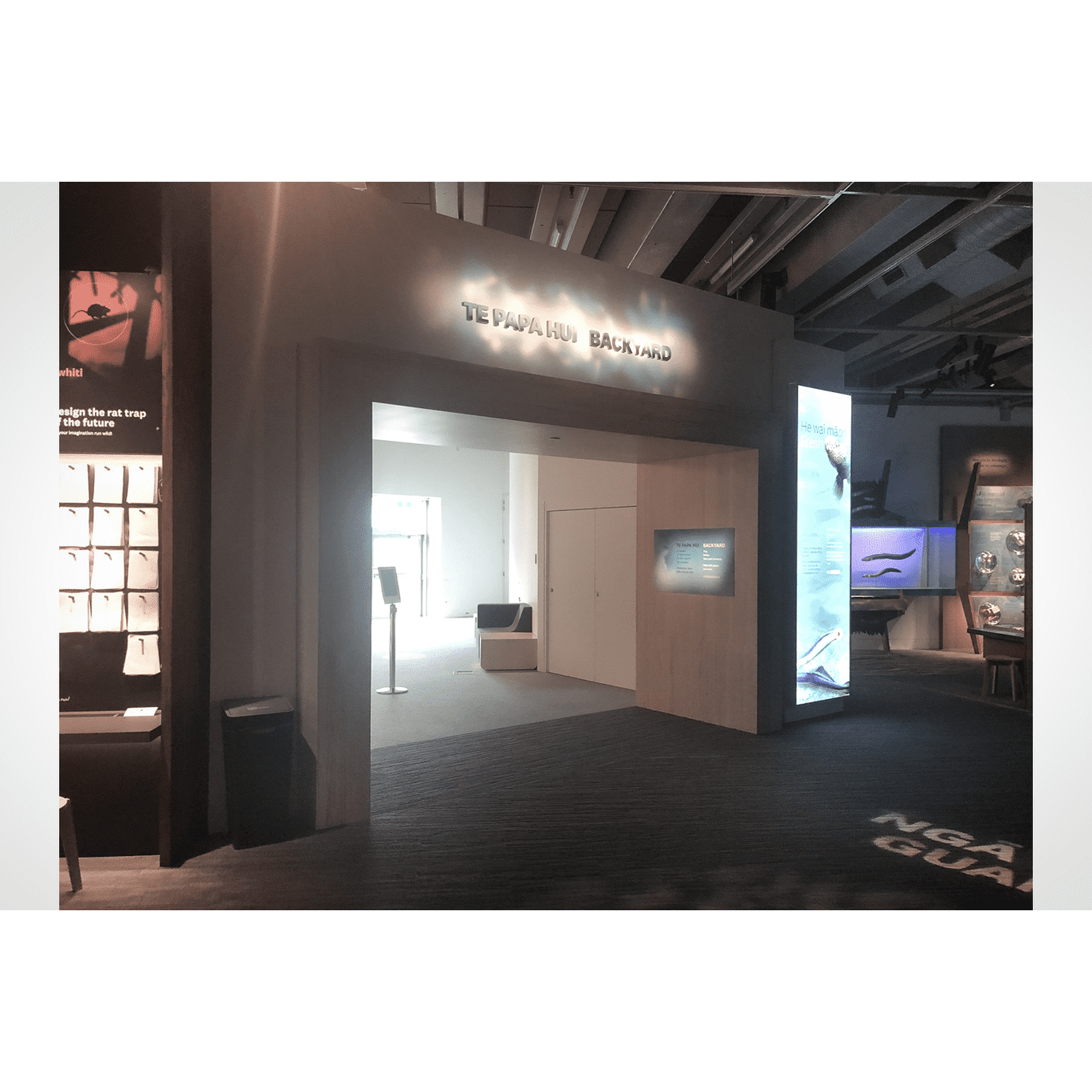 Te Papa Nature Exhibition