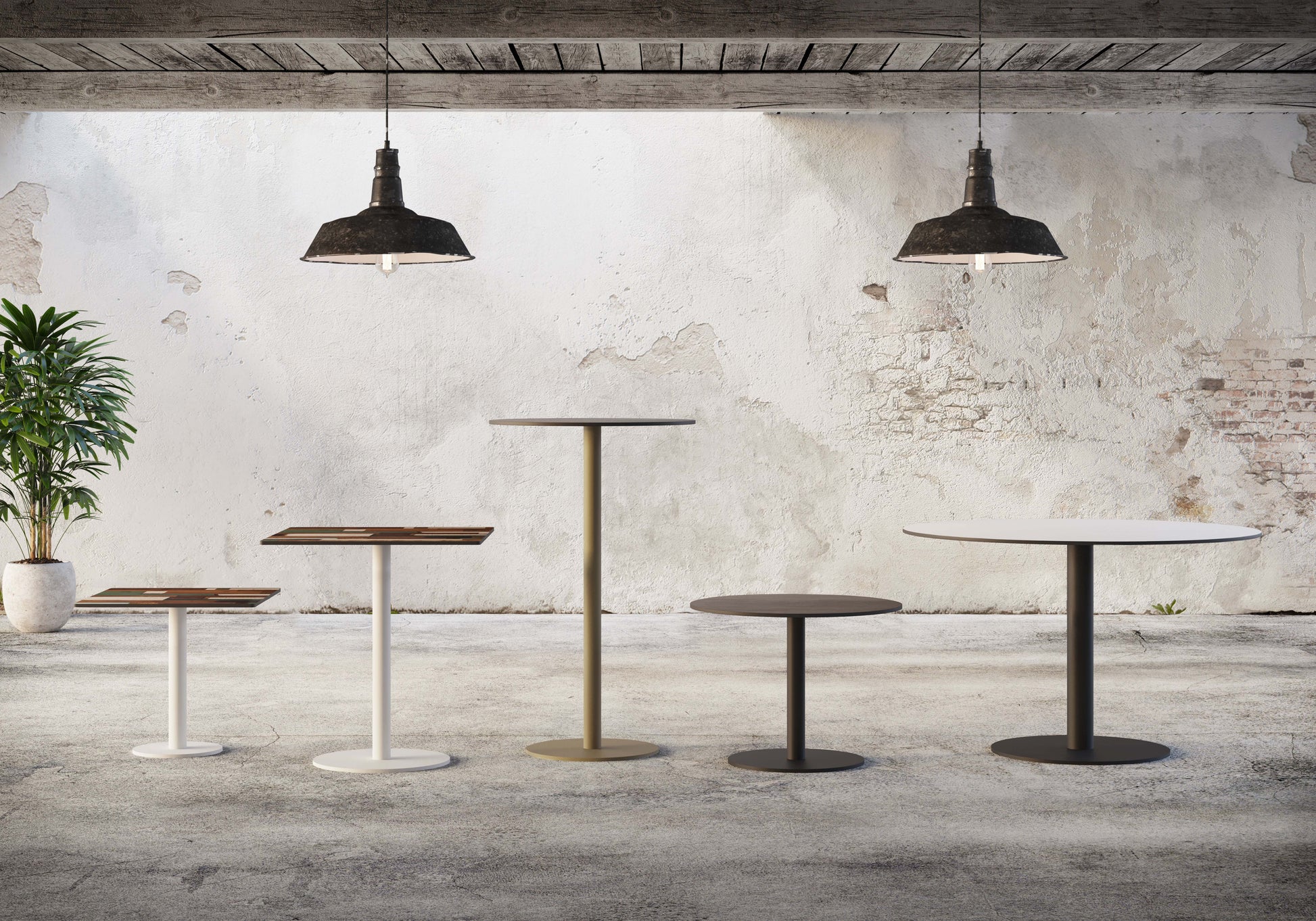 Flat Disc Table – Montage Interiors NZ